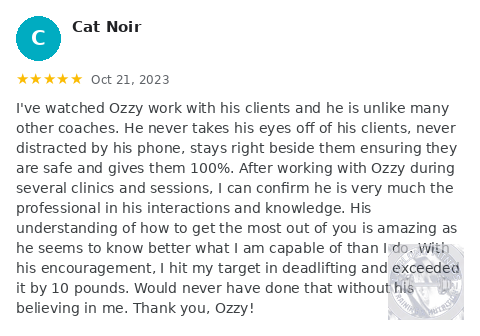 Cat Noir Google review